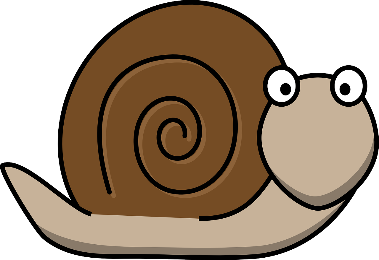 snail-160313_1280.png