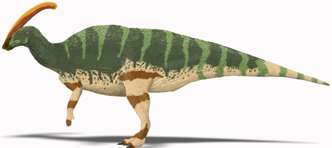 Parasaurolophus_walkeri.png