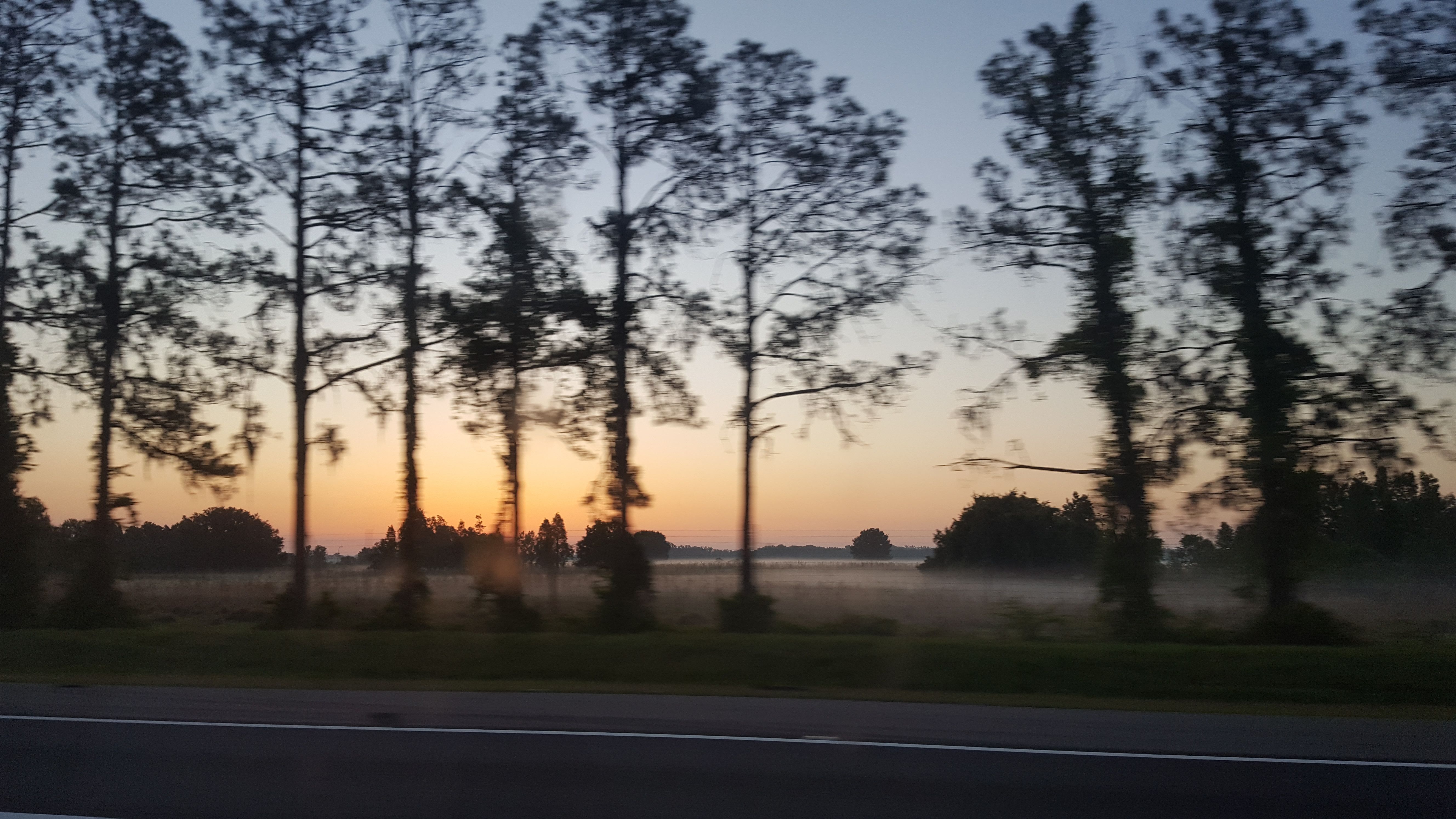 20180509_064218(0)[1].jpg