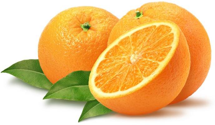 Citrus-Fruits.jpg