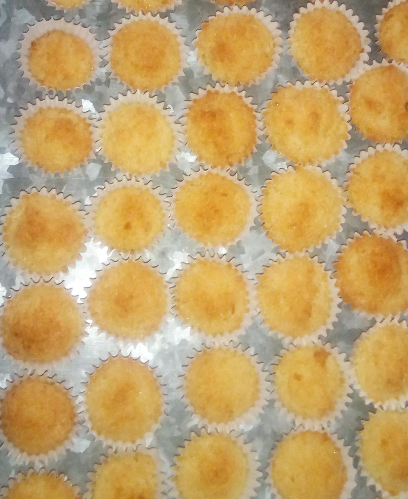 GALLETAS CON COCO.jpg