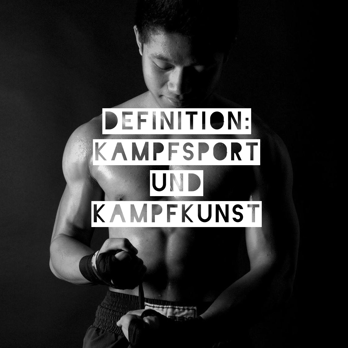 Kampfsport_und_Kampfkunst.jpg
