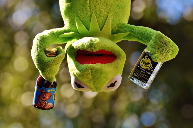 kermit-1655910_640.jpg