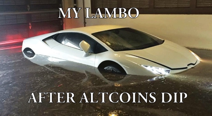 [Image: bitcoin-fork-altcoin-lambo-meme.jpg]