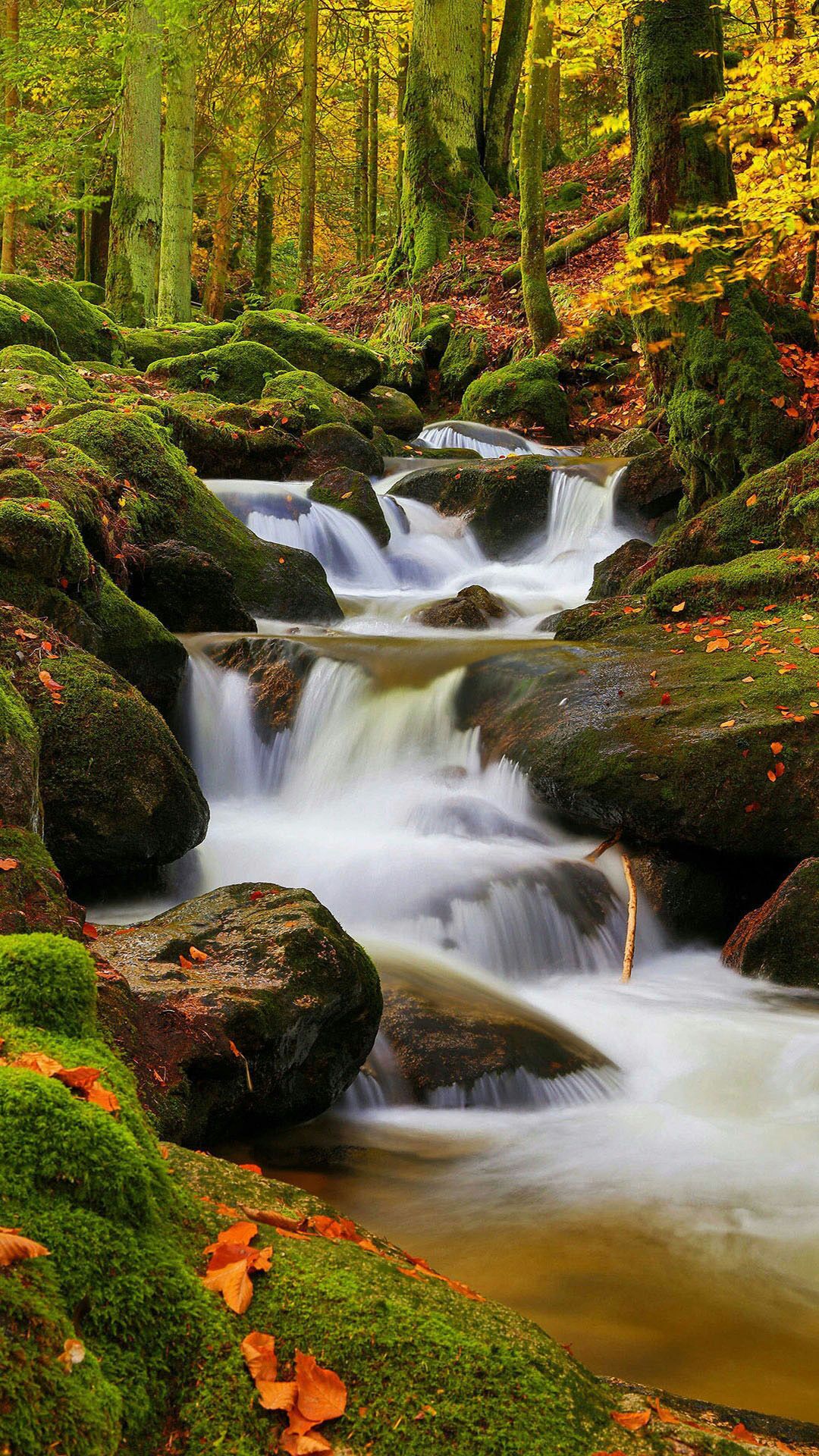 Picture_05_Stream.jpg