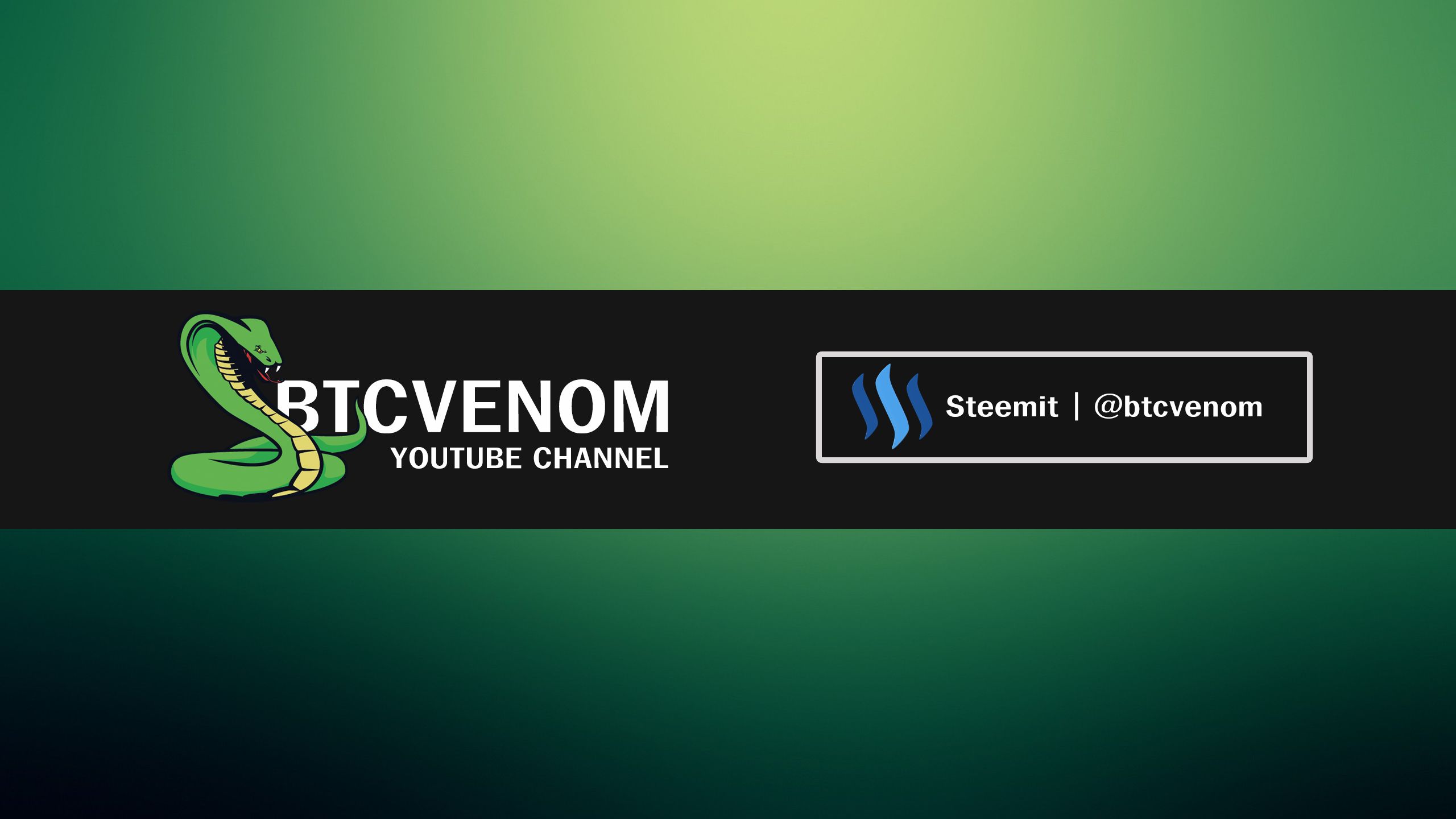 Youtube Channel Art(btcvenom).jpg