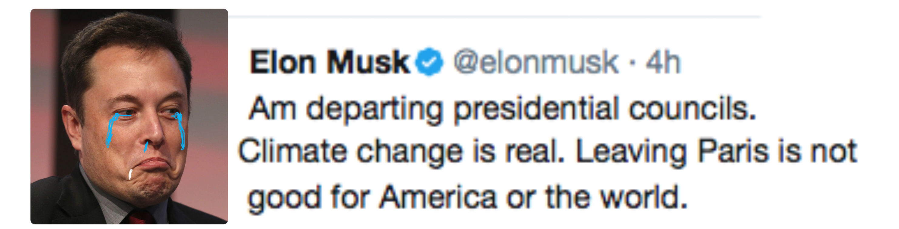 Elon Cry_00000.jpg