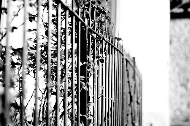 fence-619860_640.jpg