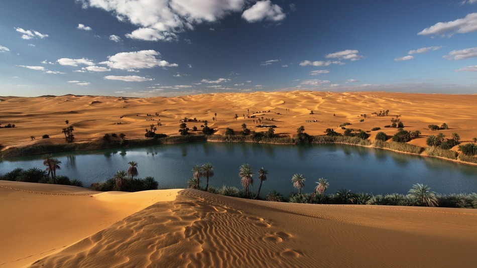 beautiful-desert-oasis-background-4.jpg