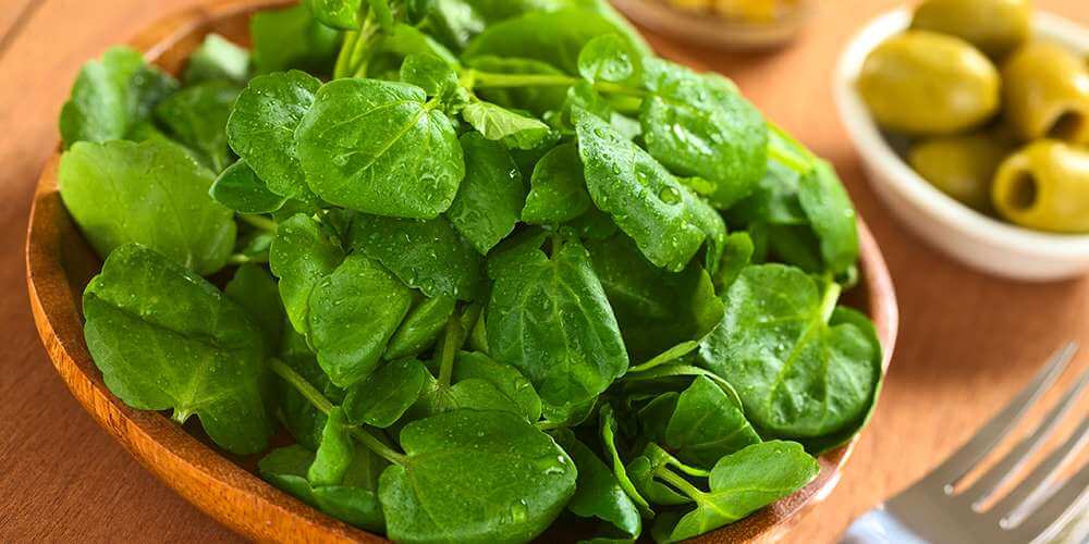 15 watercress.jpg