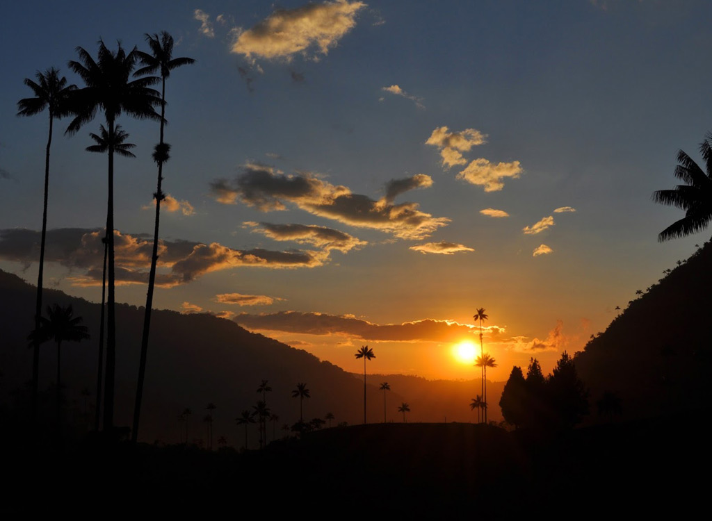 Valle-del-Cocora-Atardecer.jpg