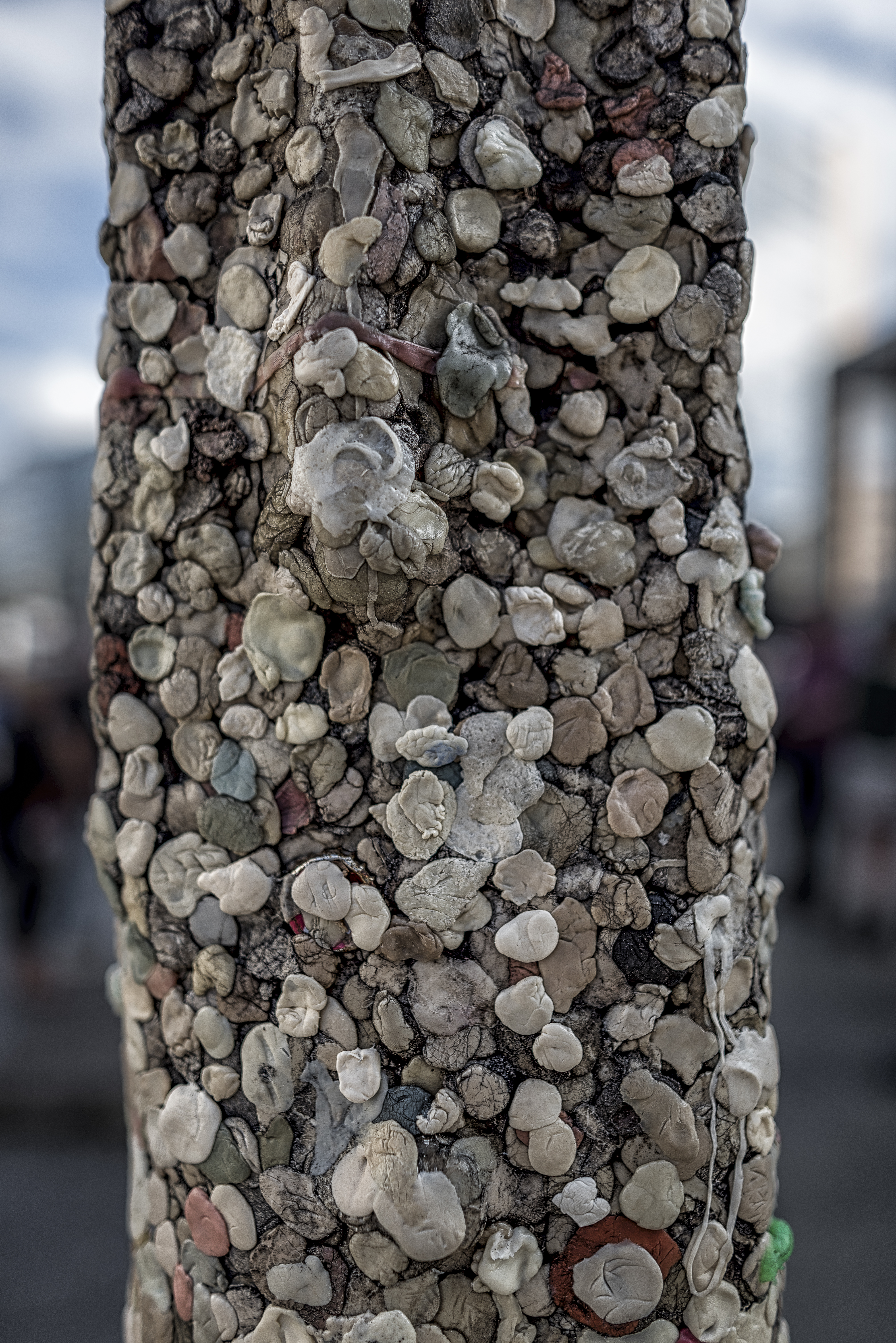 Berlin Wall Gum.jpg