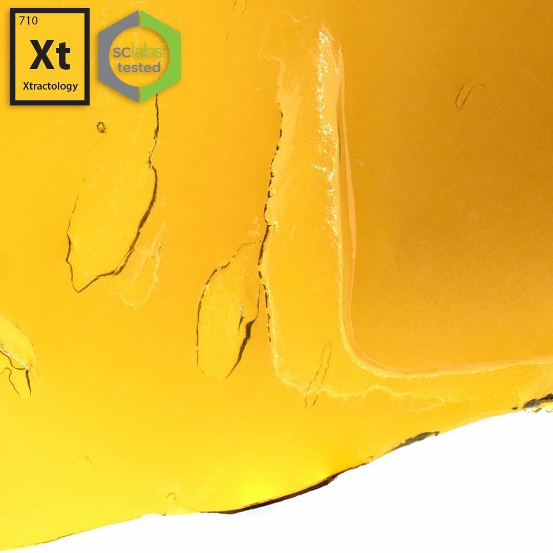 xt.710-1519505916319.jpg