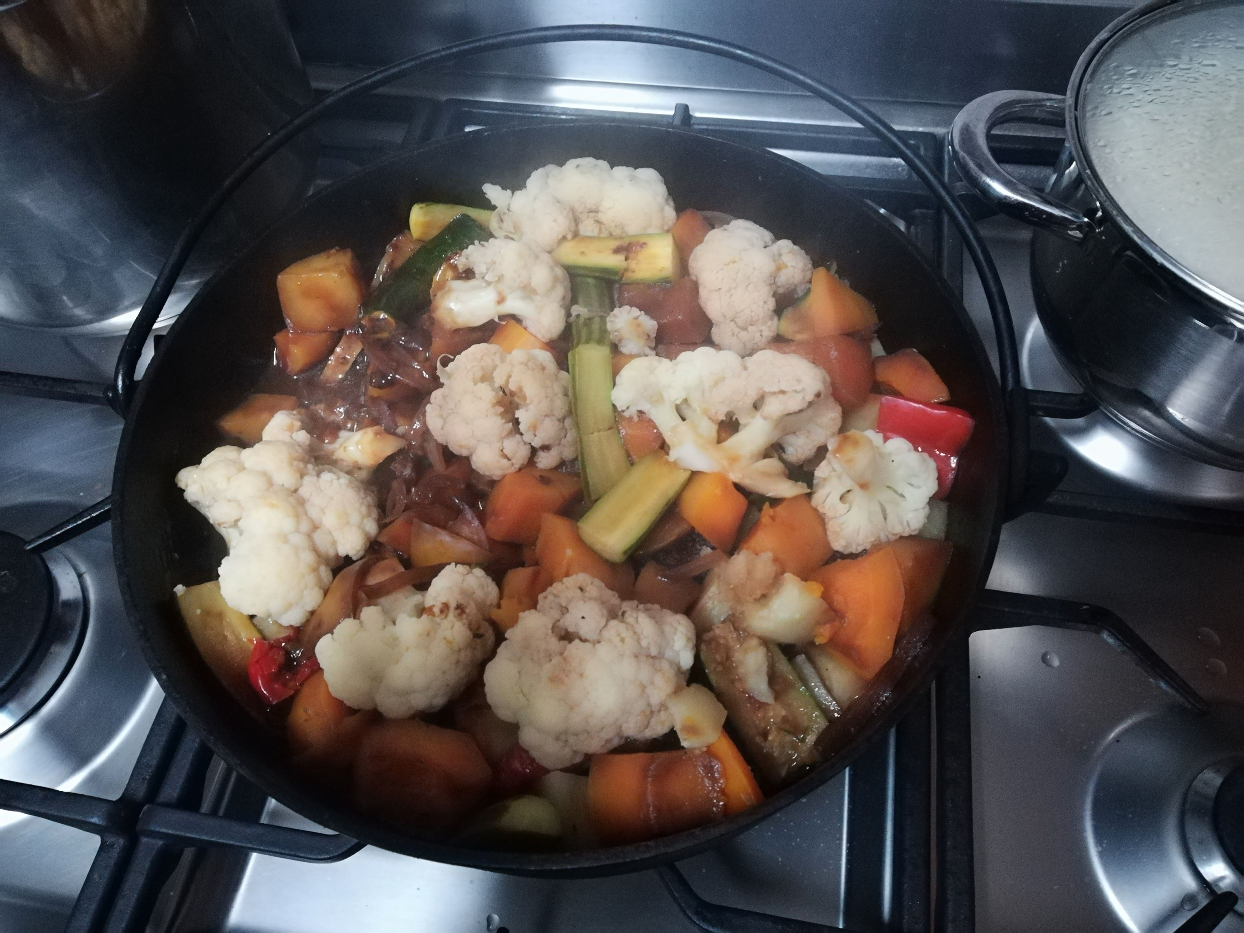 Beef curry red wine and veg Potjie Kos Part 2 — Steemit