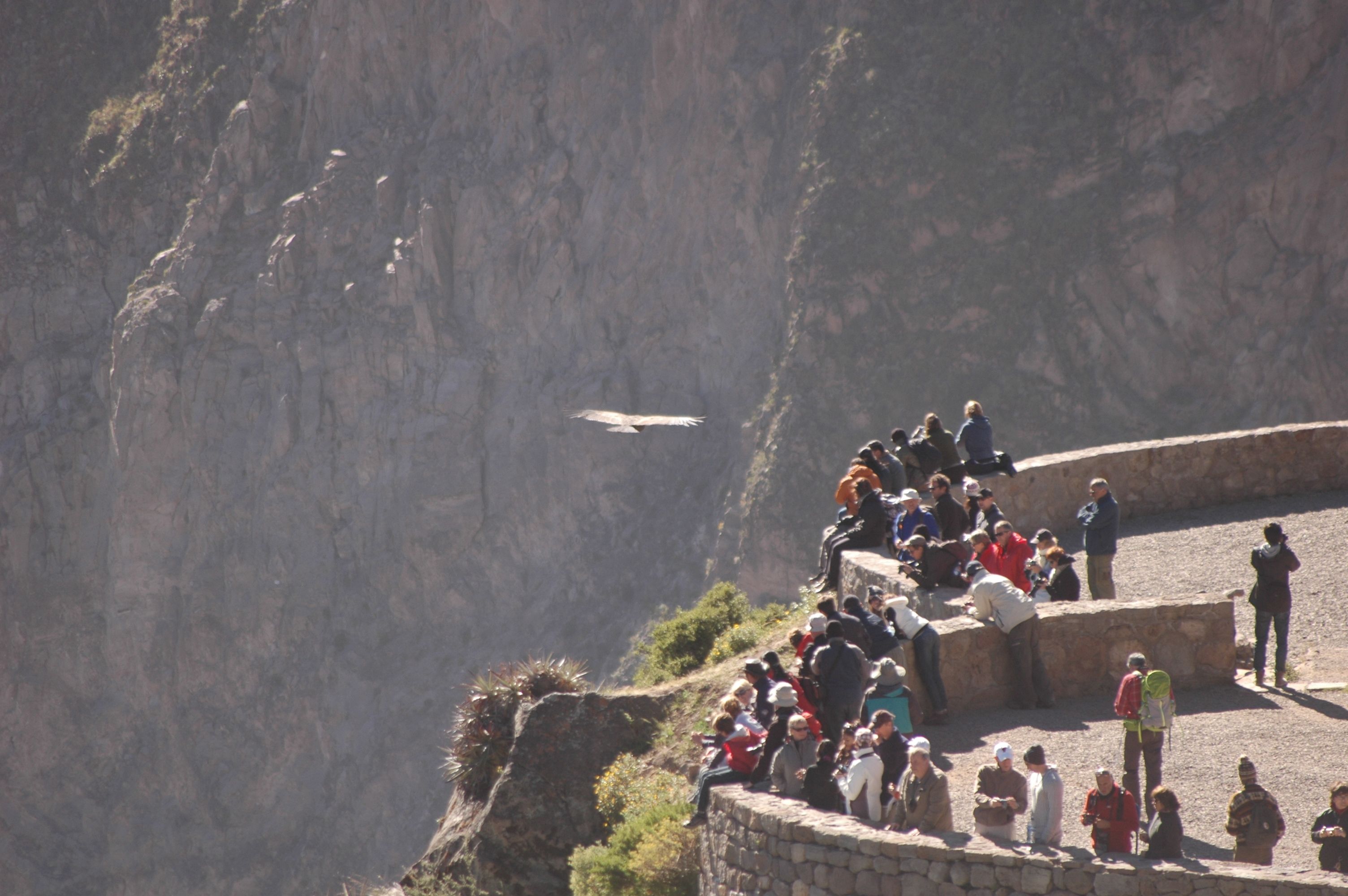 Cruz Del Condor, border cliff - Colca Canyon - Arequipa.JPG