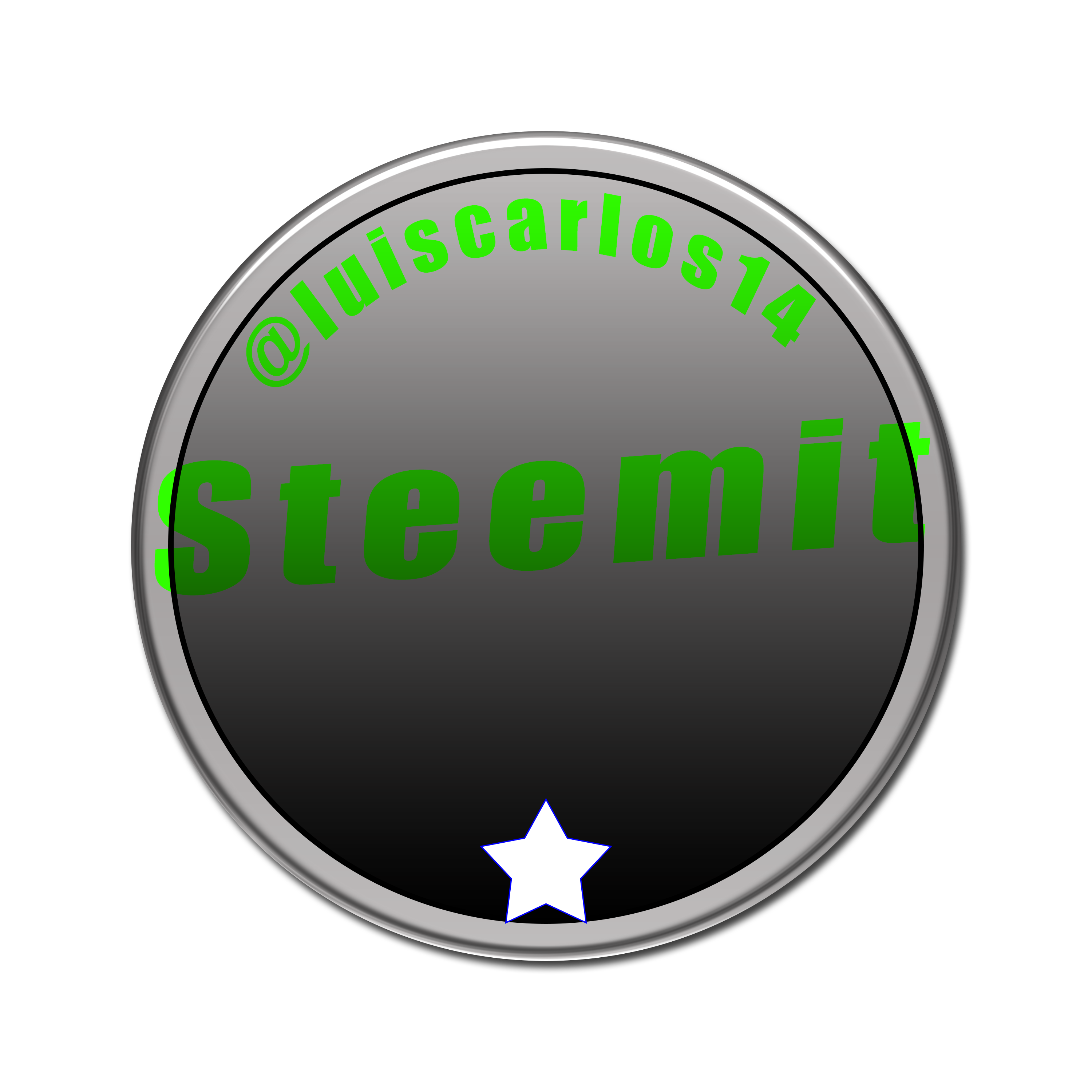 logo stemit.png