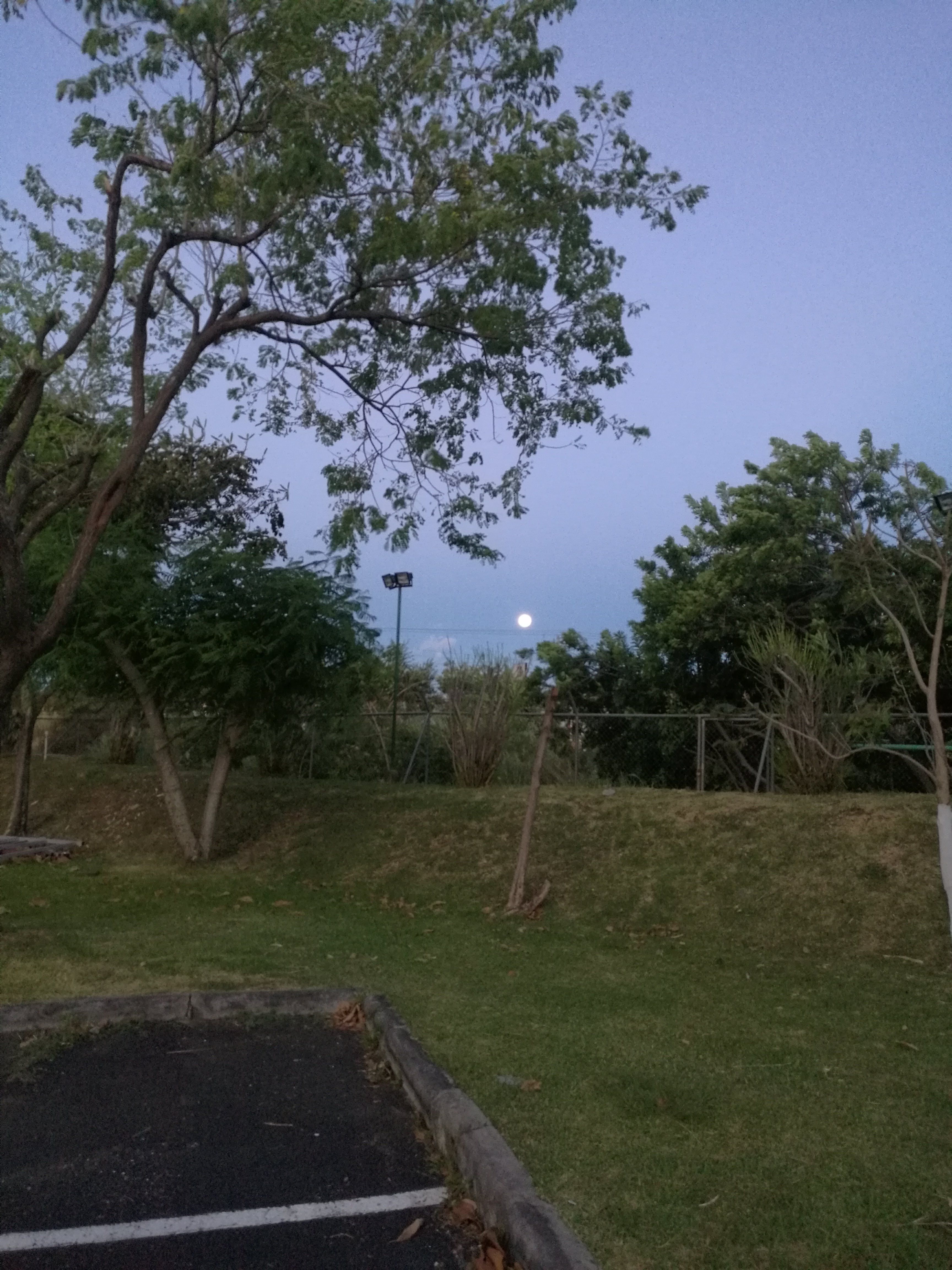 IMG_20180102_054249.jpg