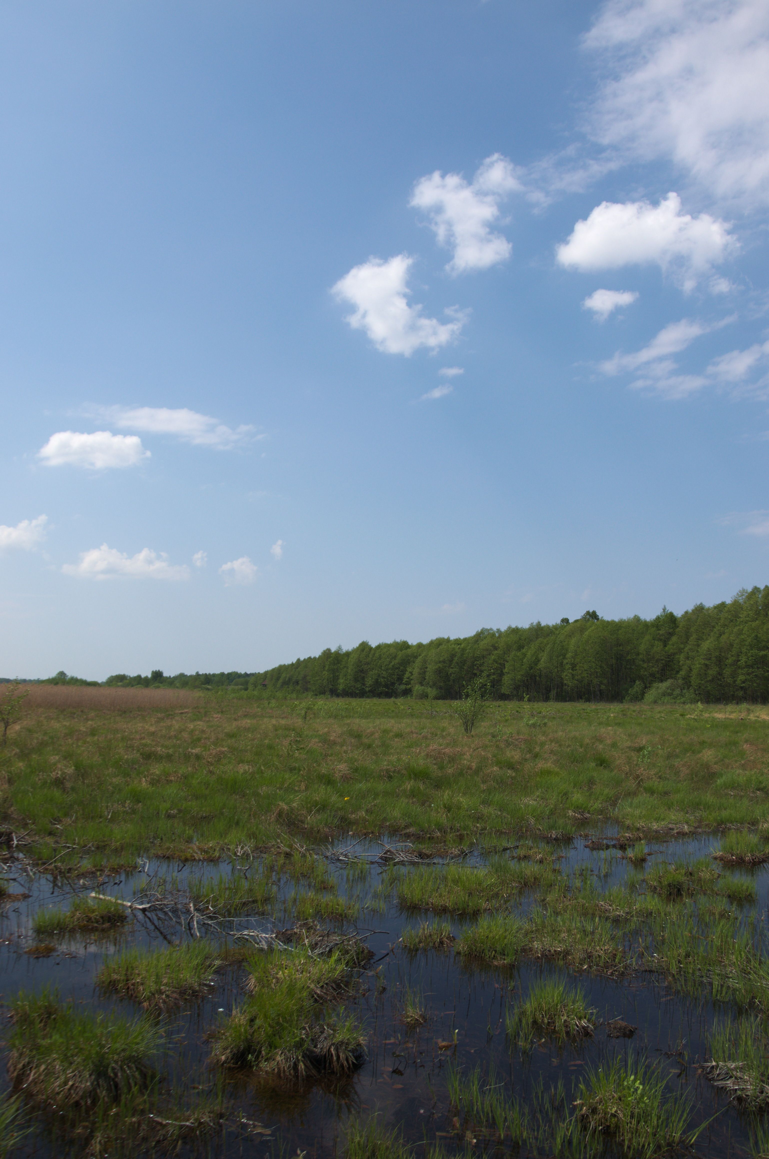 DSC_0388-2.jpg