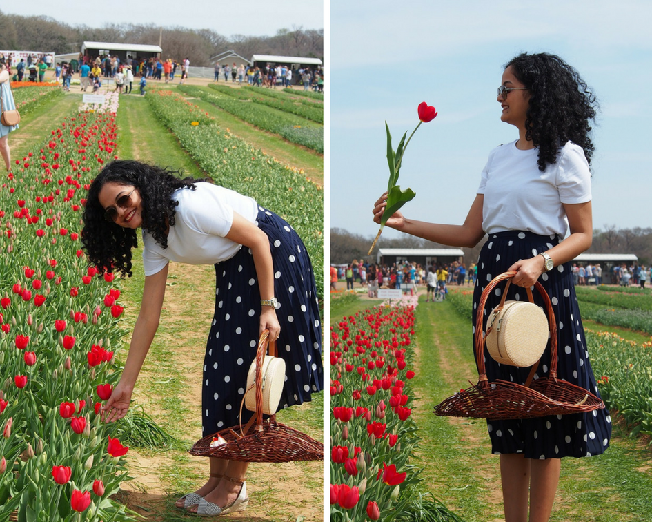 girlinchief-texas-tulips-13.png