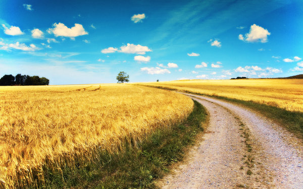 path_by_ljungan.jpg