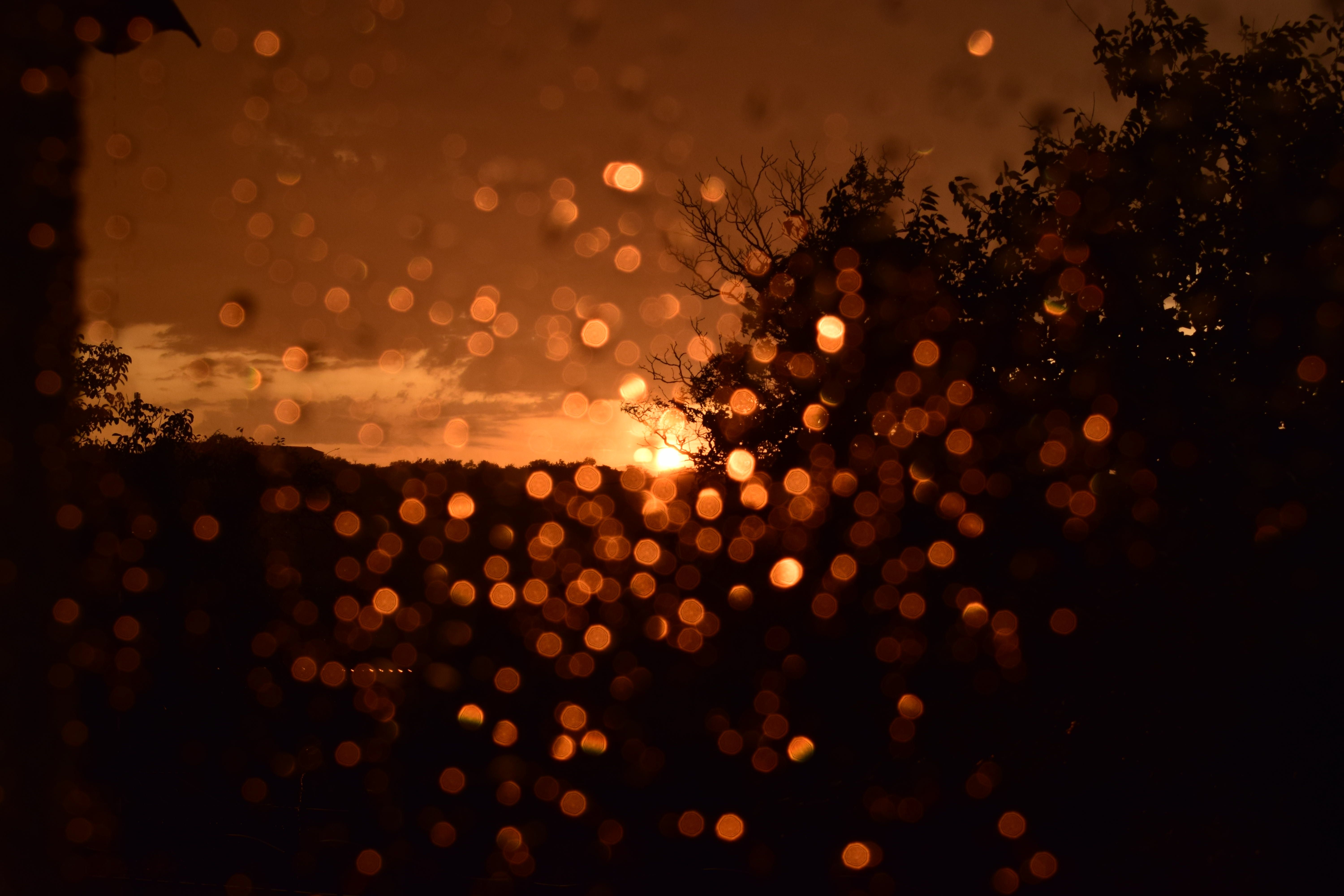 DSC_0494.jpg