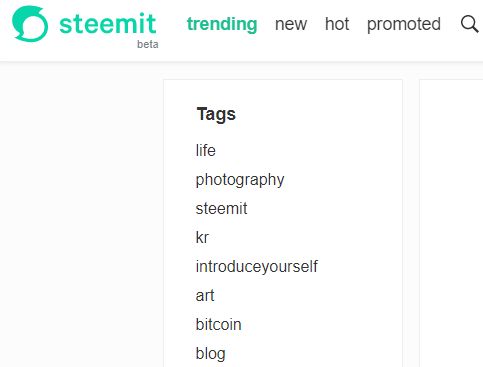 steemit_tags.PNG