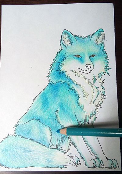 Drawing a Blue Fox - Lineart and coloring process- — Steemit