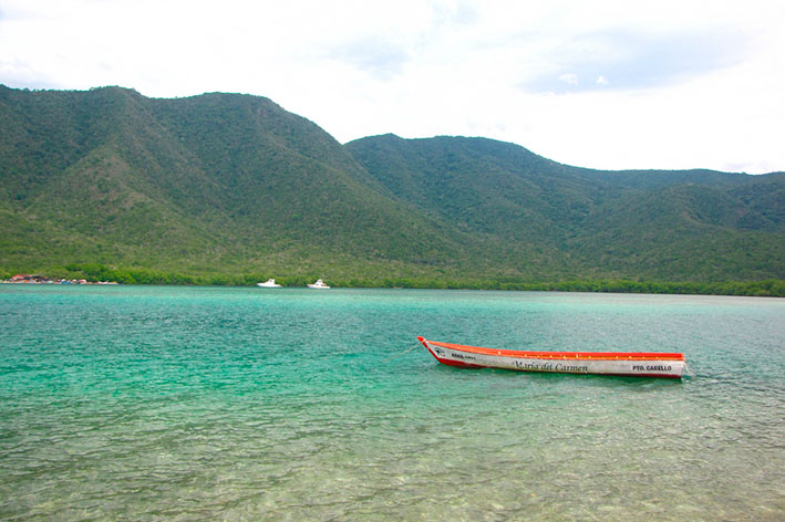 cienaga de ocumare. pasque nacional Henry Pittier.jpg