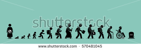 stock-vector-life-cycle-and-aging-process-person-growing-up-from-baby-to-old-age-570481045.jpg