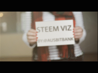 STEEM VIZ.gif