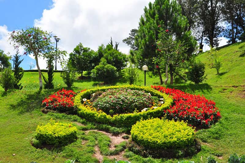 20161017084132-vuon-hoa-tp-gody (9).jpg