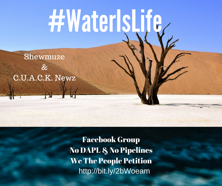 Desert & Water Is Life.png