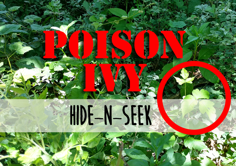 poison-ivy-hide-n-seek.jpg