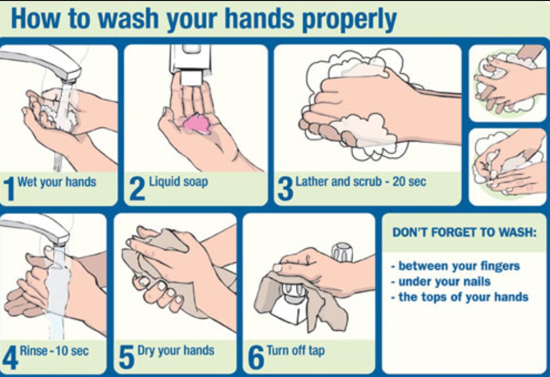 Image result for how to wash your hands