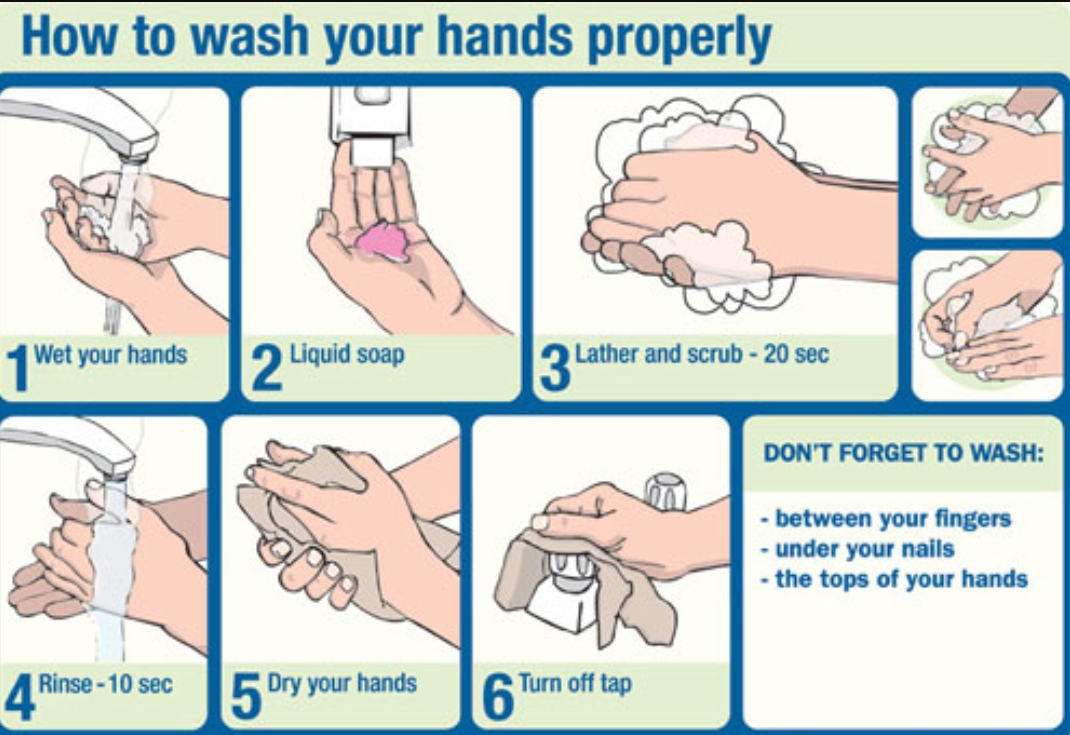 Image result for wash your hands
