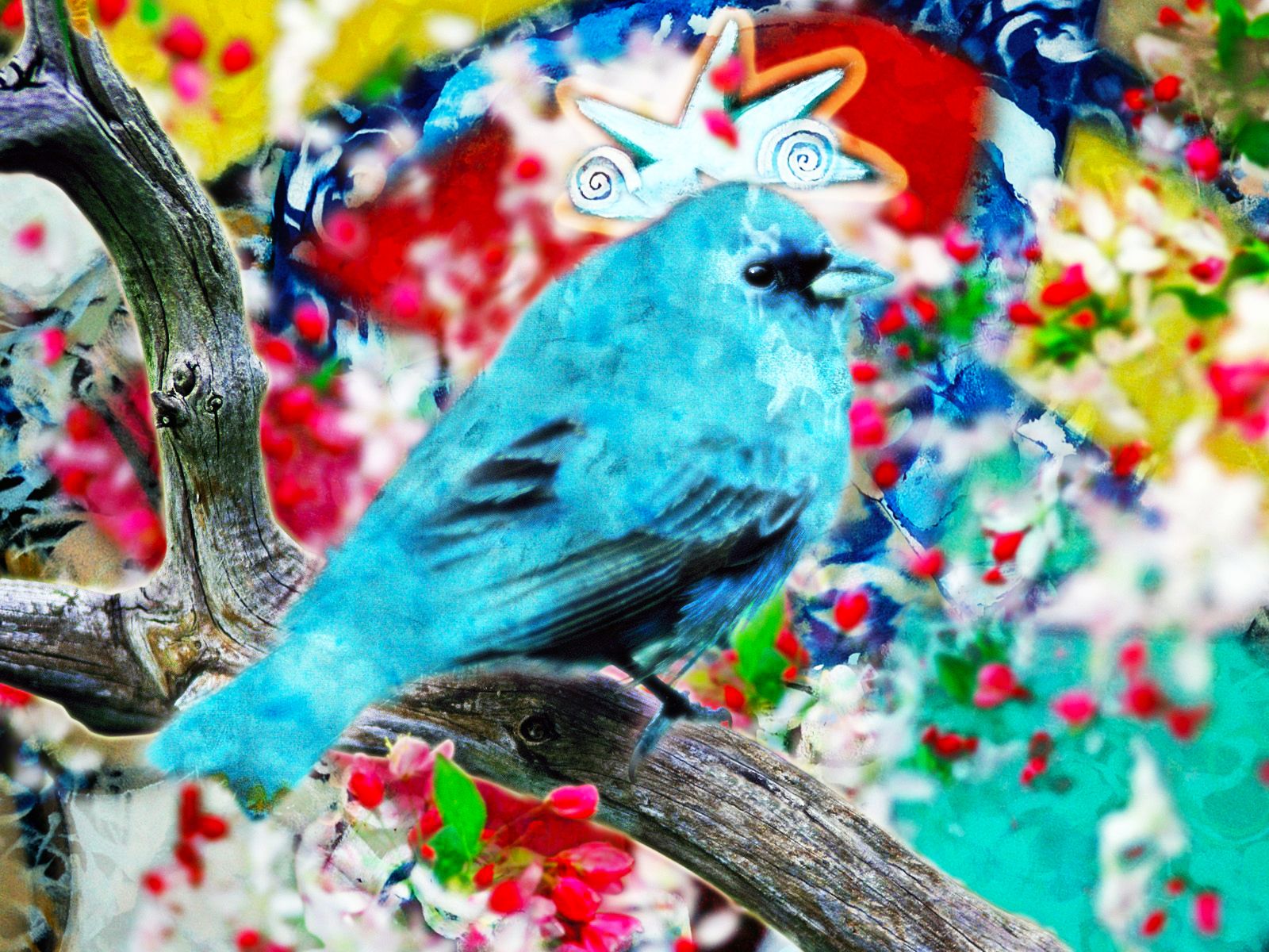 BLUE BIRD.jpg