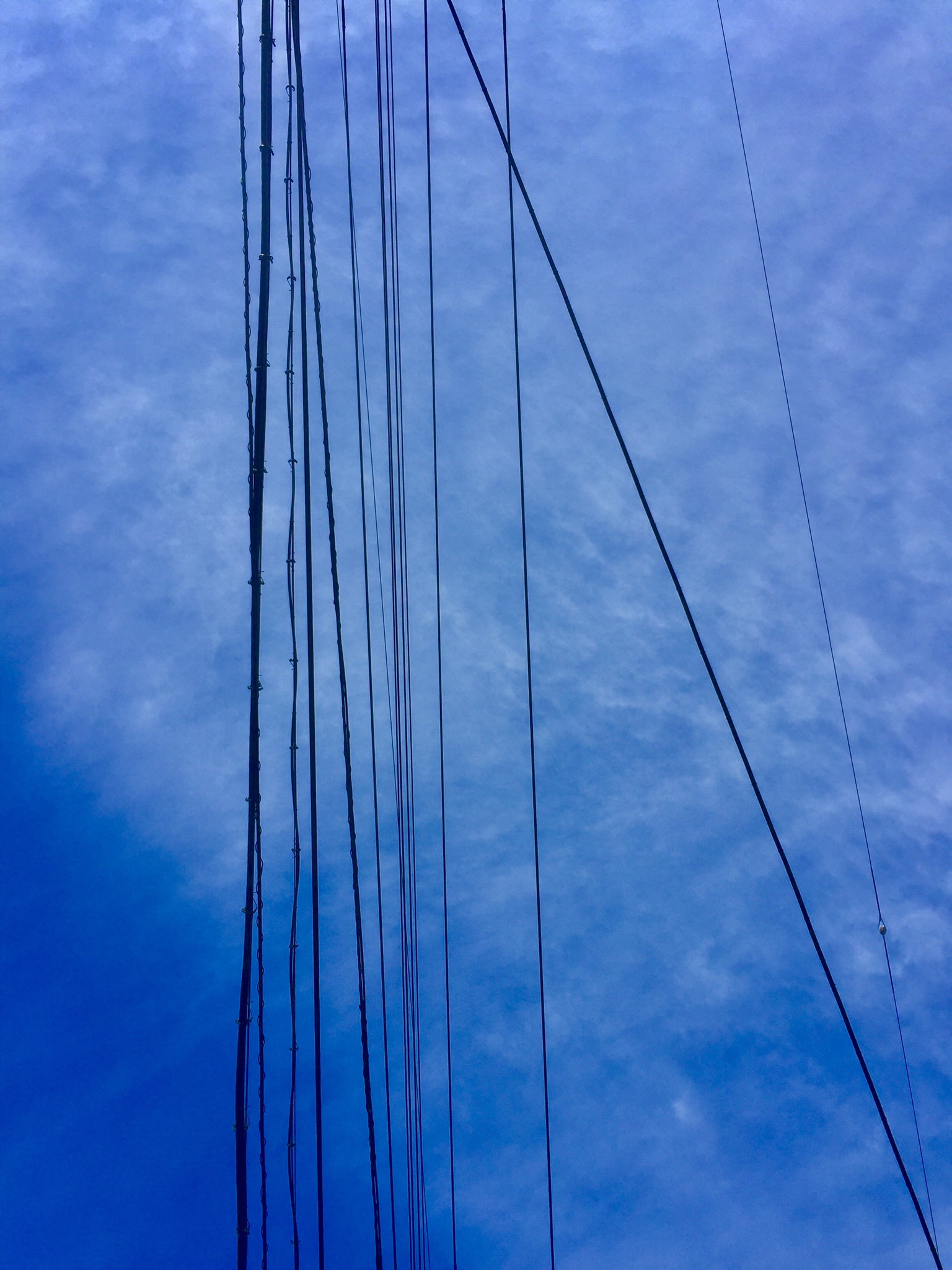 06C026F1-E143-4064-A85F-352D0A35AD52.jpeg