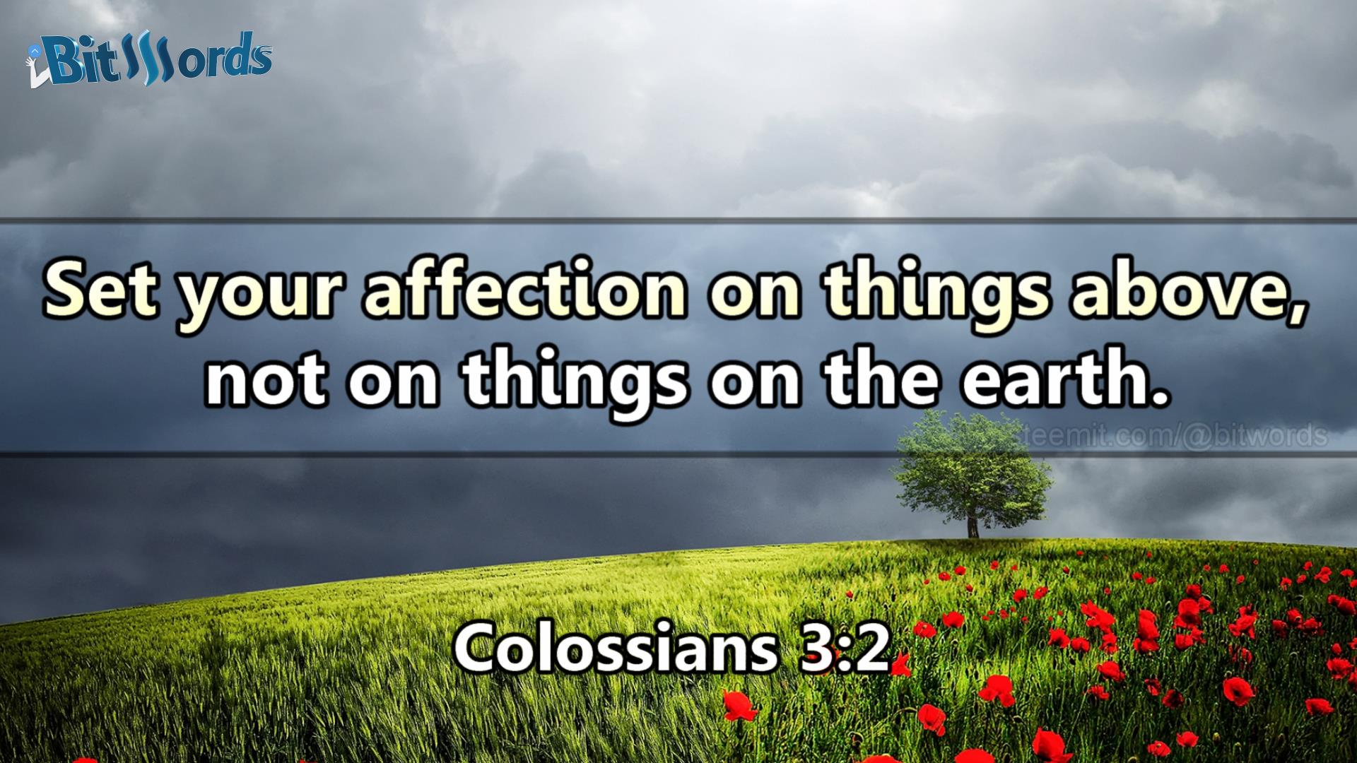 Set Your Affection on Things Above…”