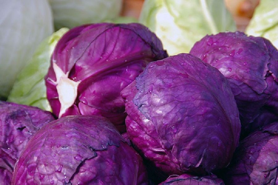 purplecabbage_720.jpg