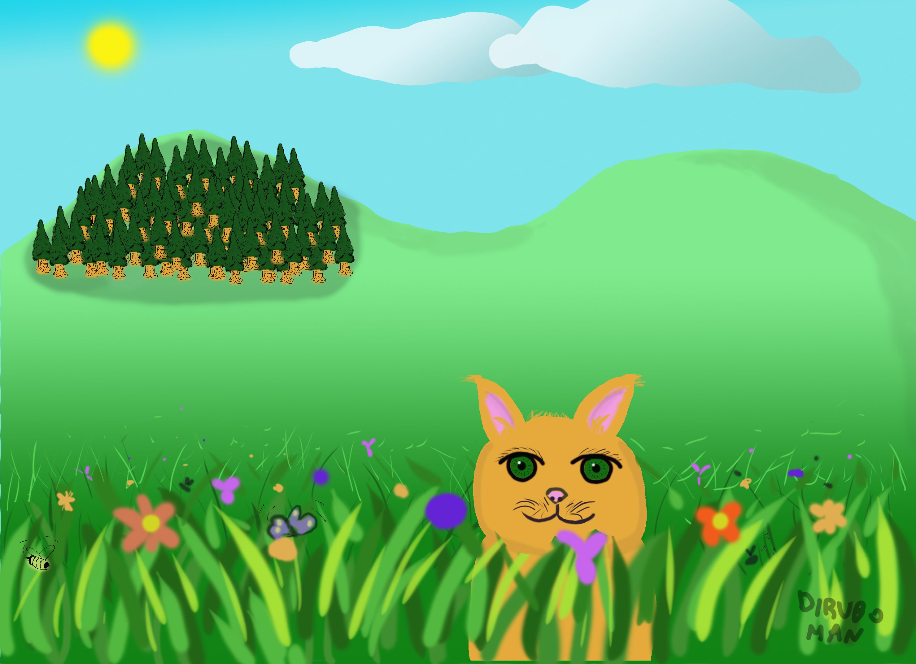 cat in grass.jpg