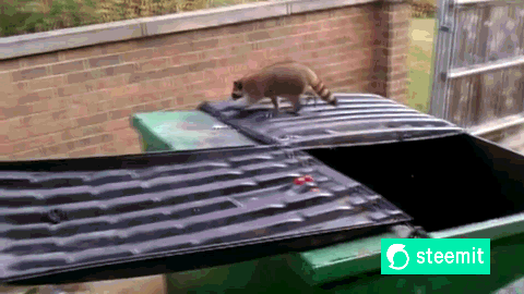 381.gif