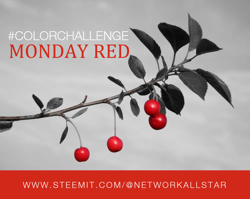 colorchallengemondayred.png