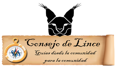 banner_lince_final.png