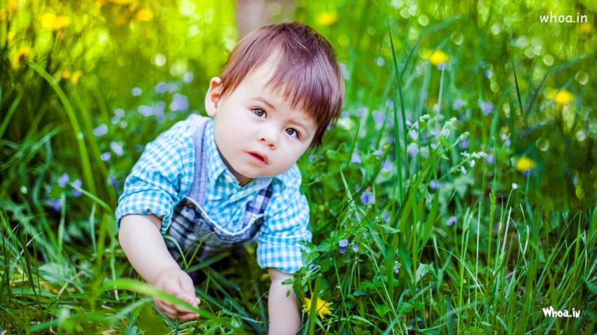 Little-Boy-Play-Gardan-with-Surprise-Face-Closeup-HD-Wallpaper.jpg