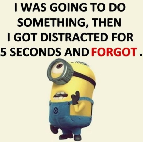 6-4315-36-Funny-Minion-Quotes-Of-The-Day-305.jpg