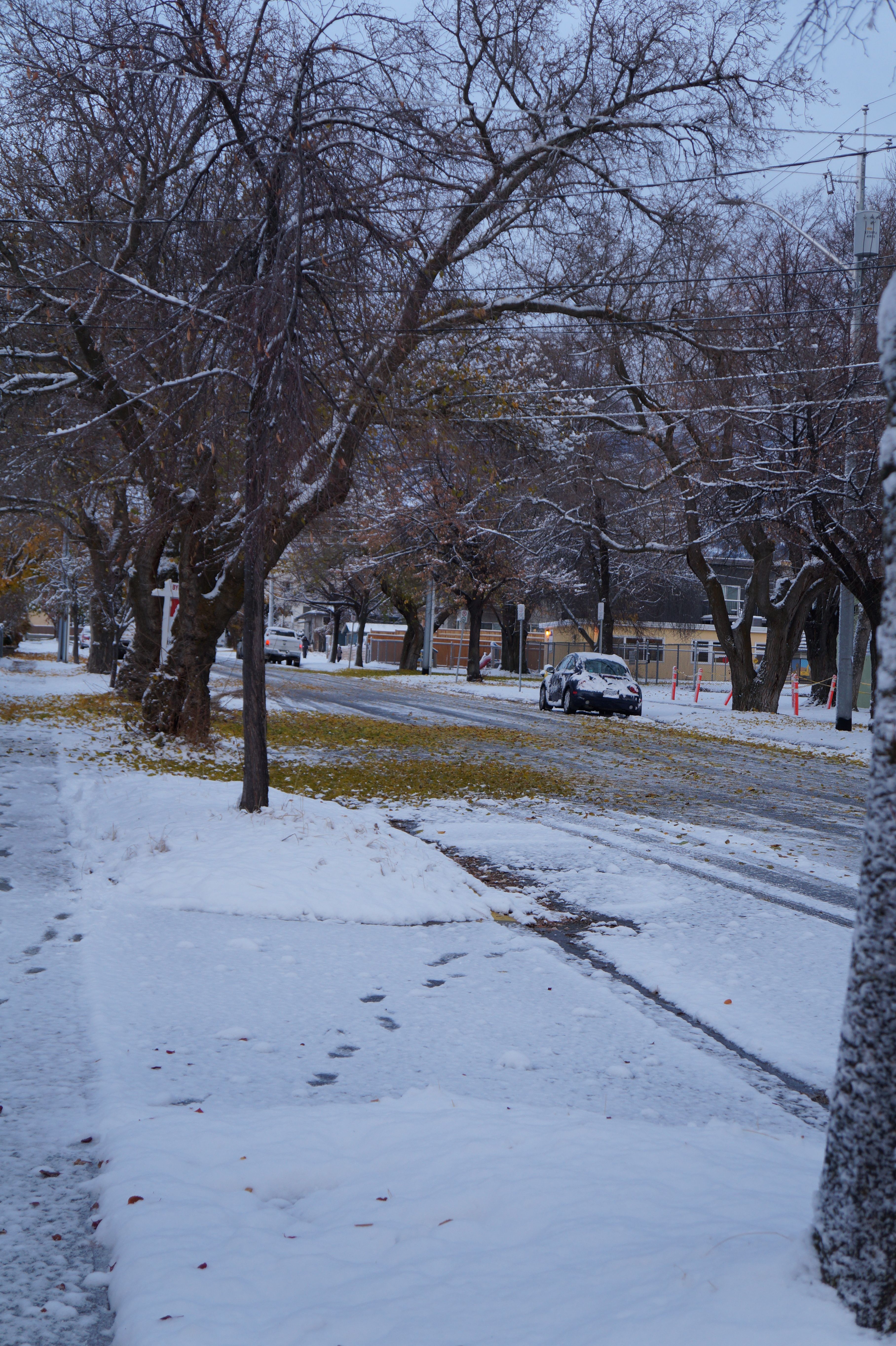 DSC04020.JPG