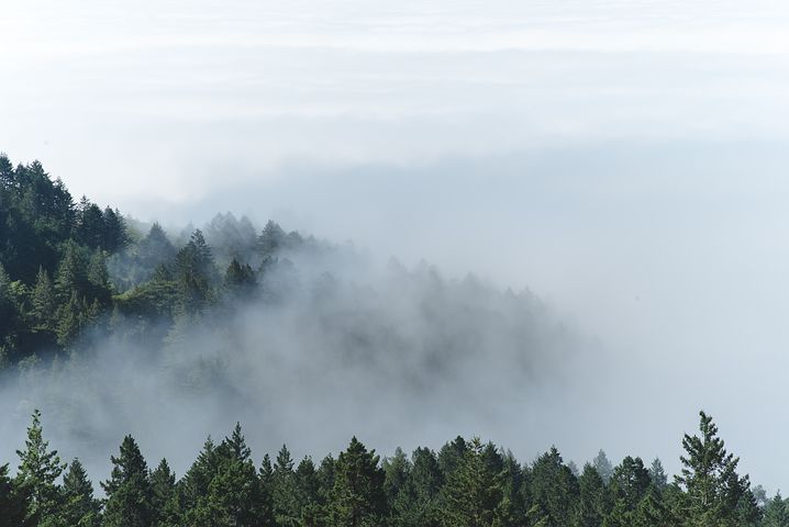fog-1839150__480.jpg