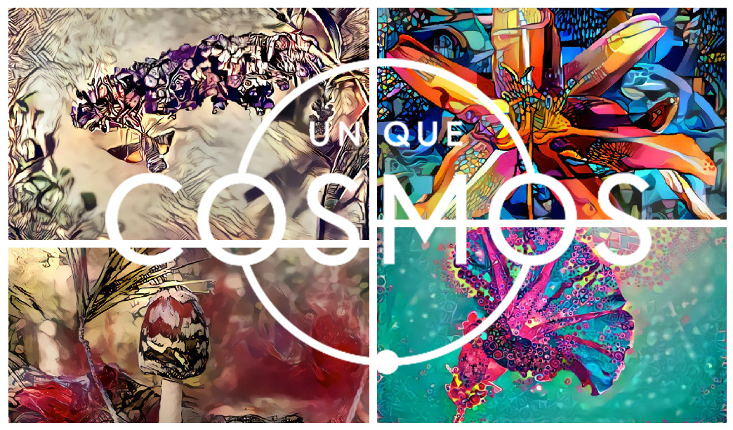 UniqueCosmos-Community-Art.jpg