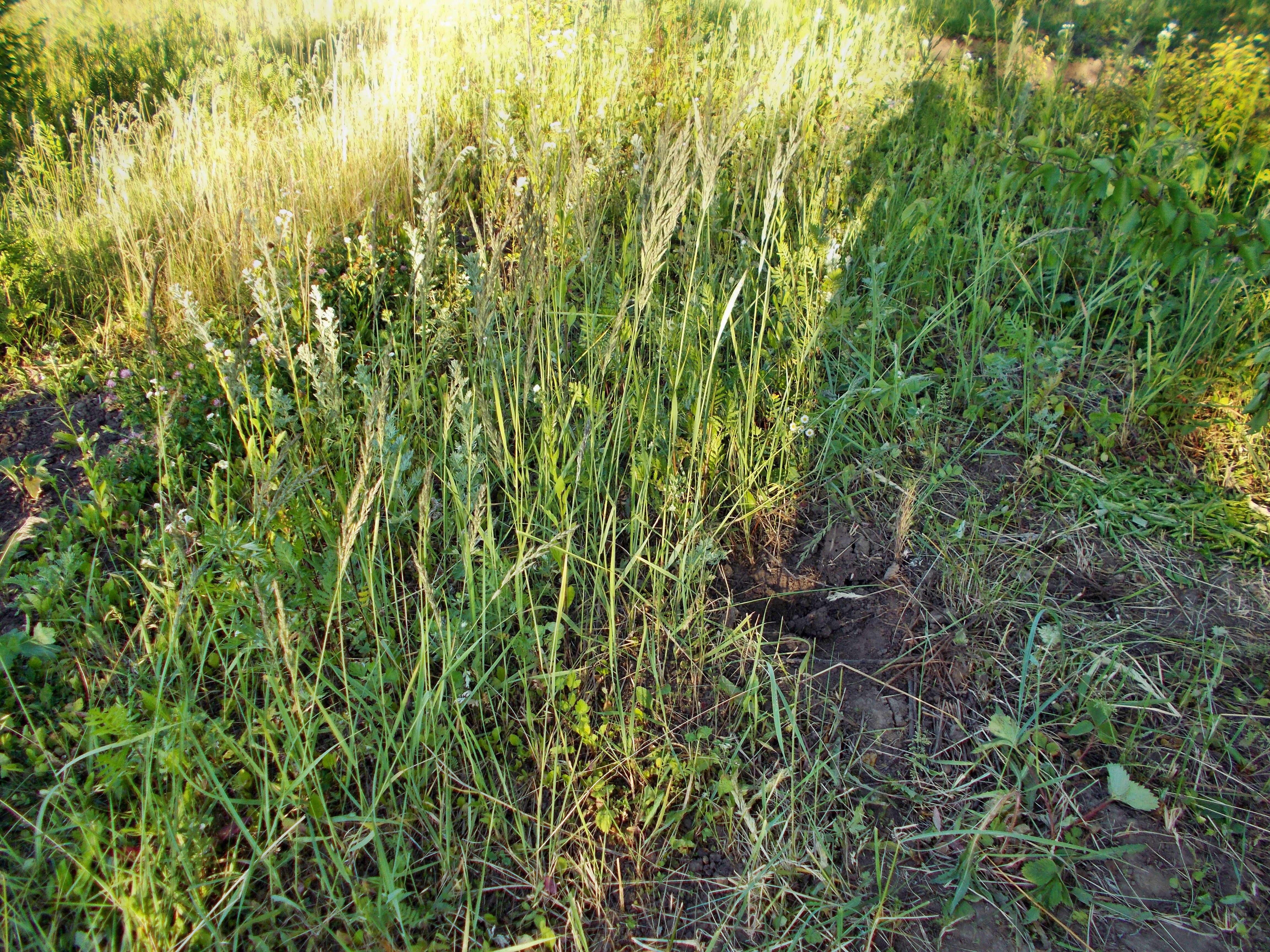 DSCN0947.JPG