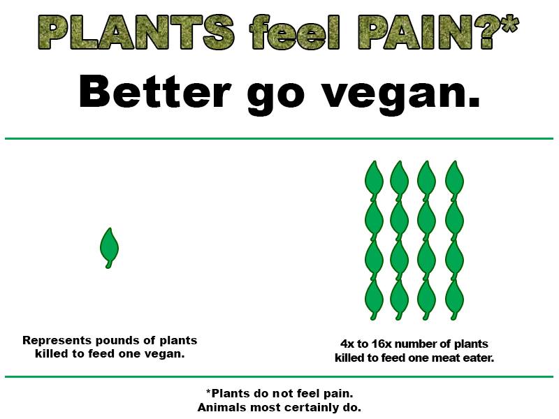 PLANTS FEEL PAIN DARTH VEGAN.jpg